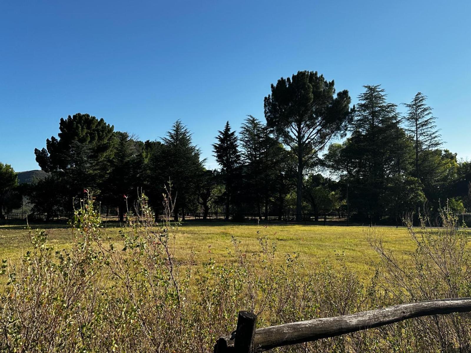 Shumba valley guest farm Fouriesburg Extérieur photo